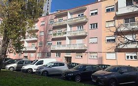 Asf Home